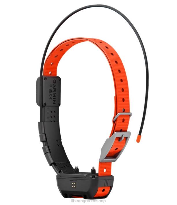 για άνδρες και γυναίκες Γιακά σκύλου garmin alpha tt25 6PHT2107 L.L.Bean εξοπλισμός εξωτερικού χώρου μαύρο/πορτοκαλί