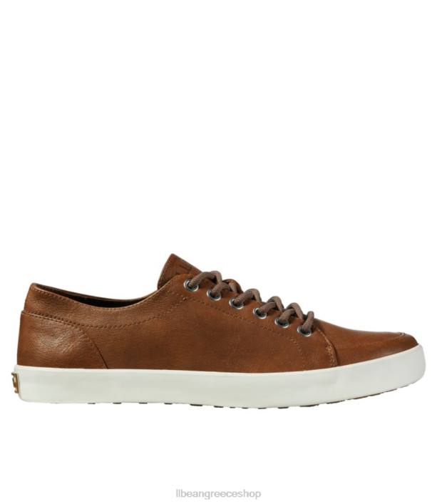 άνδρες παπούτσια Mountainville 6PHT3775 L.L.Bean είδη υπόδησης σκούρο κακάο