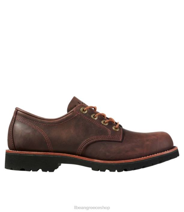 άνδρες παπούτσια bucksport 6PHT3761 L.L.Bean είδη υπόδησης σκούρο κακάο