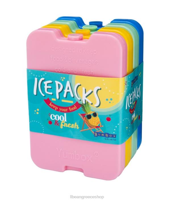 για άνδρες και γυναίκες yumbox σετ πάγου 4 τεμαχίων 6PHT2345 L.L.Bean αξεσουάρ πολυ