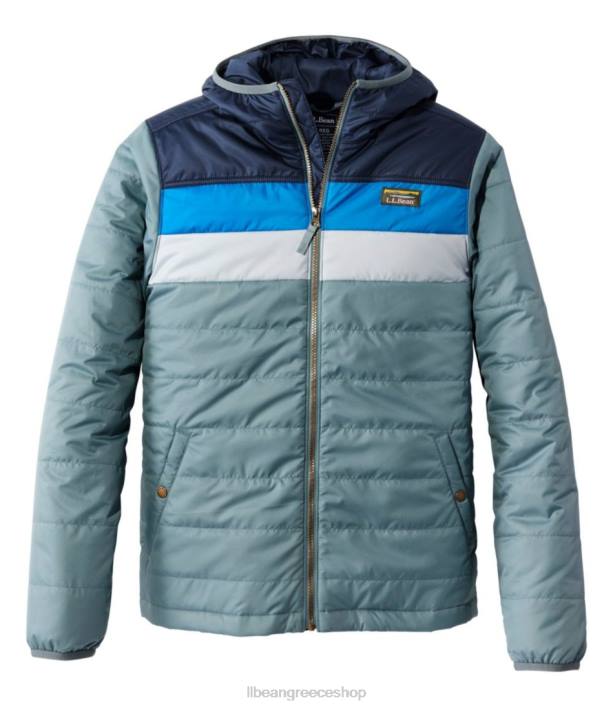 forest gray/carbon navy