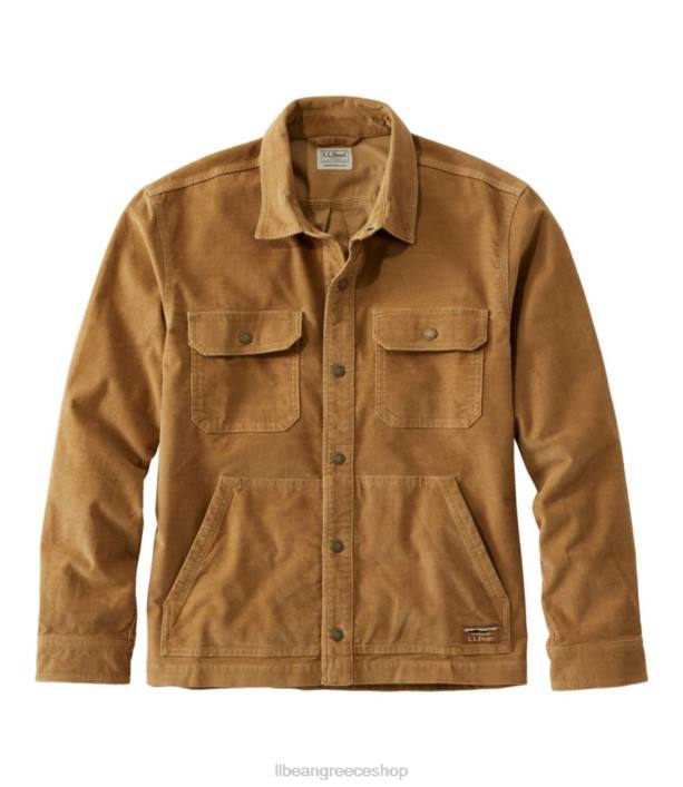 marsh brown