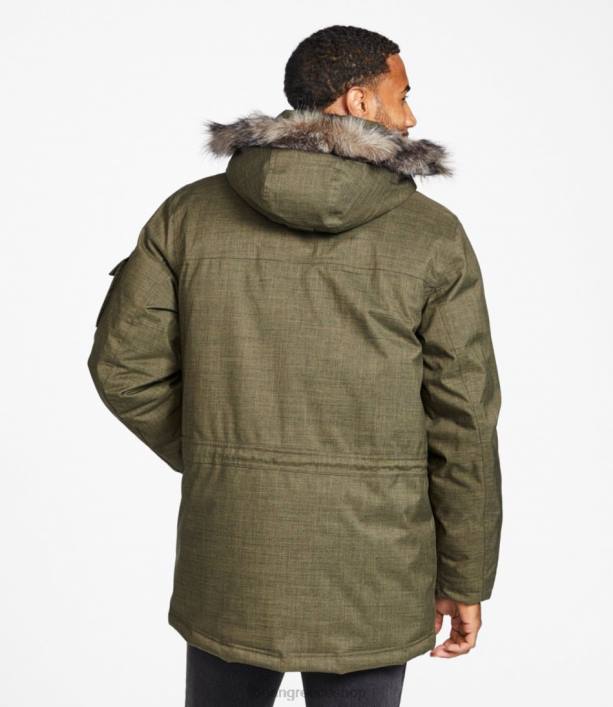 άνδρες κρατικό πάρκο baxter 6PHT5105 LLBean εξωτερικά ενδύματα φύκια πράσινη ερείκη
