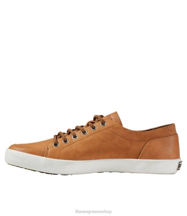 άνδρες παπούτσια Mountainville 6PHT1039 LLBean είδη υπόδησης ελαφρύ καφέ