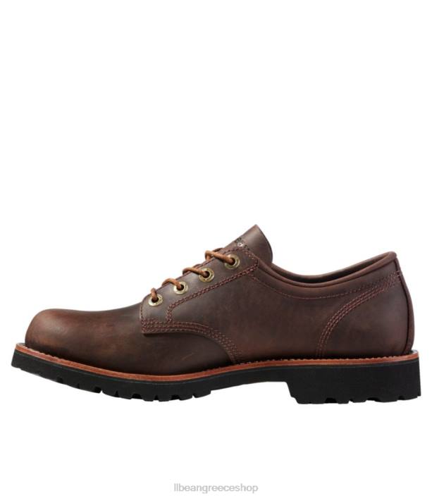 άνδρες παπούτσια bucksport 6PHT3761 LLBean είδη υπόδησης σκούρο κακάο