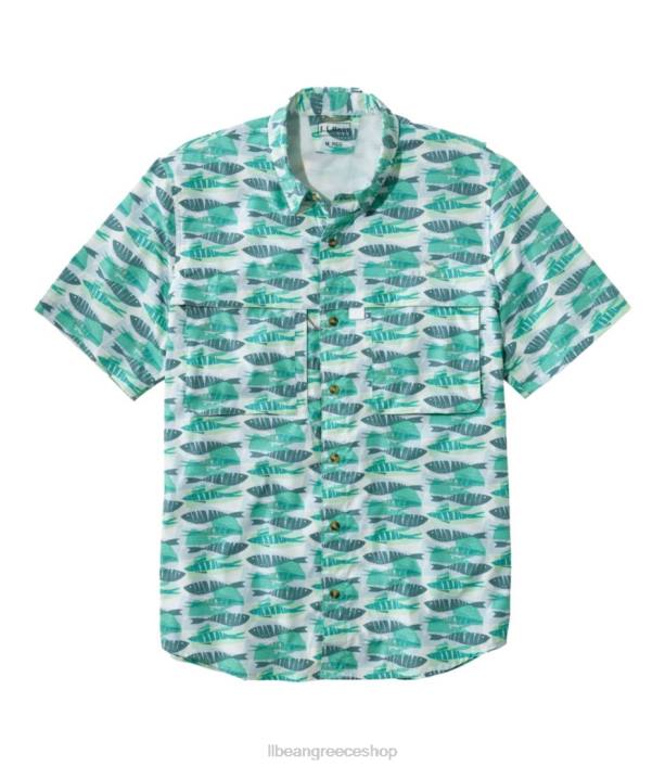 έντιμο aqua fish print