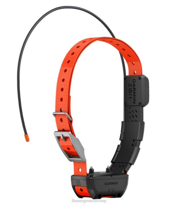 για άνδρες και γυναίκες Γιακά σκύλου garmin alpha tt25 6PHT2107 LLBean εξοπλισμός εξωτερικού χώρου μαύρο/πορτοκαλί