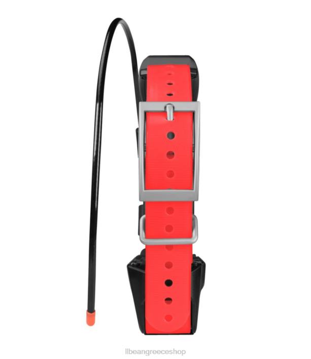 για άνδρες και γυναίκες Γιακά σκύλου garmin tt15x gps 6PHT2211 LLBean εξοπλισμός εξωτερικού χώρου κόκκινο μαύρο