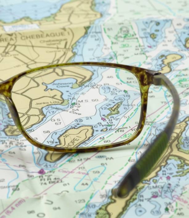 για άνδρες και γυναίκες γυαλιά durareader 6PHT3355 LLBean αξεσουάρ εξωτερικού χώρου χελώνα