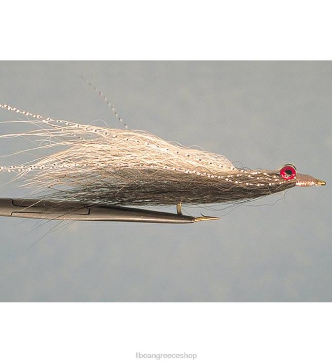 για άνδρες και γυναίκες πιο κλειστό minnow 6PHT1525 LLBean αλιεία ασημί γυαλιστερό