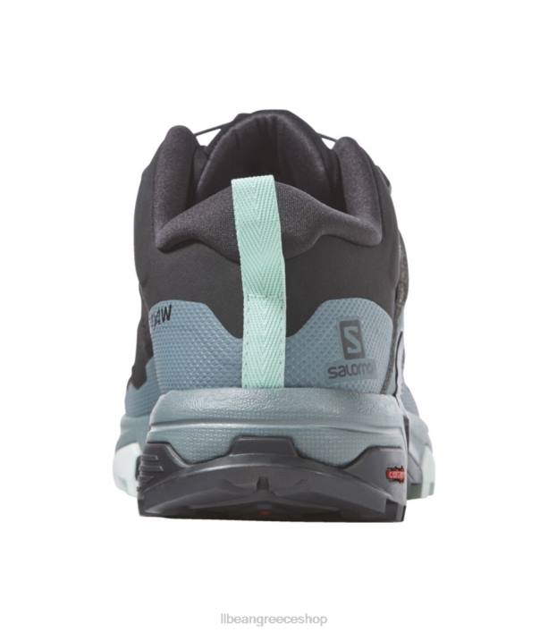 γυναίκες Παπούτσια πεζοπορίας salomon x ultra 4 gore-tex 6PHT3840 LLBean είδη υπόδησης πιο τρελή καφέ/μαύρη/λευκασμένη άμμος