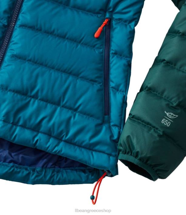 γυναίκες πουπουλένιο μπουφάν 6PHT5125 LLBean εξωτερικά ενδύματα ναυτικό ναυτικό/ζαχαροδαμάσκηνο