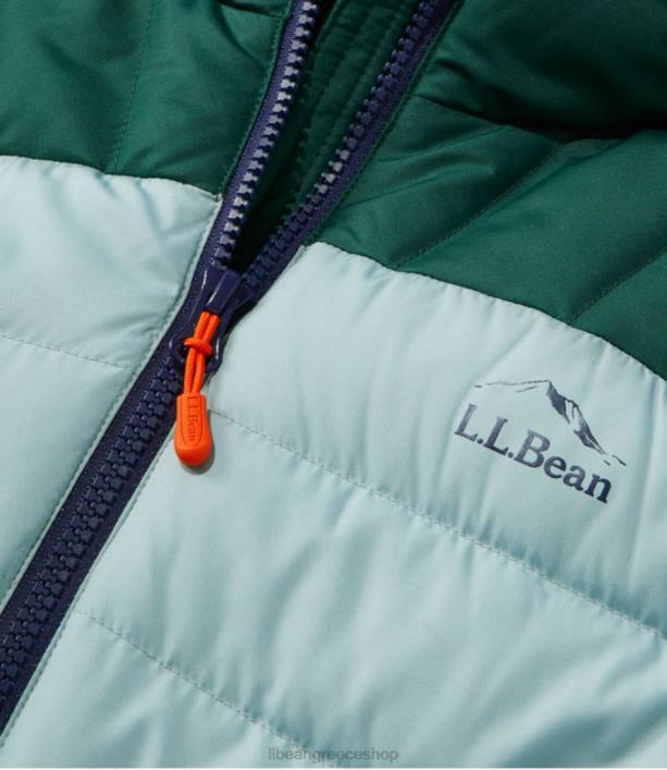 γυναίκες σακάκι με κουκούλα 6PHT5093 LLBean εξωτερικά ενδύματα ναυτικό ναυτικό/ζαχαροδαμάσκηνο