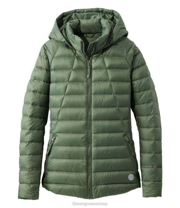 γυναίκες υβριδικό μπουφάν χωρίς όρια 6PHT3646 LLBean εξωτερικά ενδύματα θυμάρι