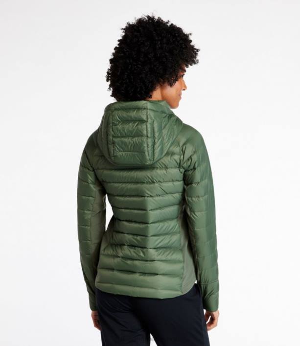 γυναίκες υβριδικό μπουφάν χωρίς όρια 6PHT3646 LLBean εξωτερικά ενδύματα θυμάρι