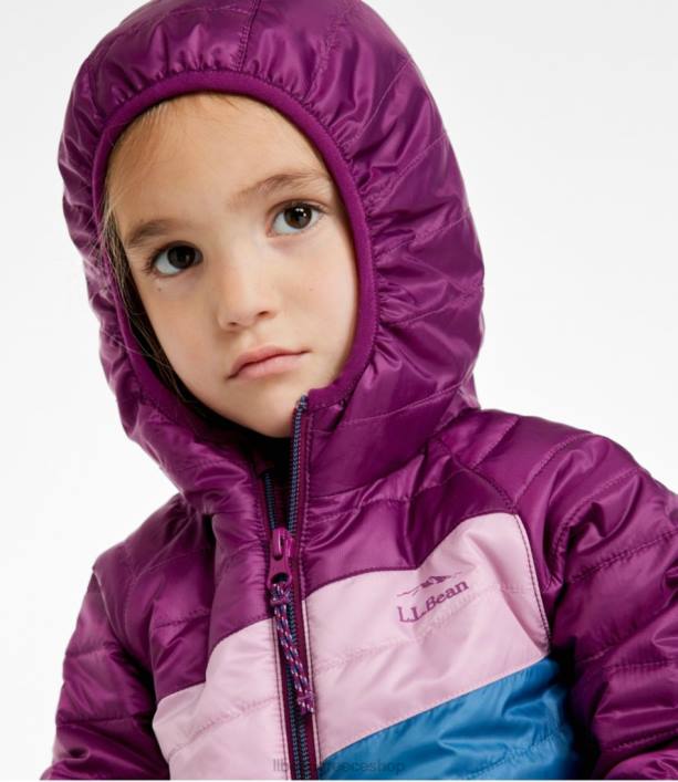 παιδιά μπουφάν primaloft με κουκούλα 6PHT938 LLBean εξωτερικά ενδύματα σκούρο μουριά/ανοιχτό μοβ